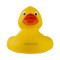 PVC patka