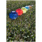 Automatski kišobran